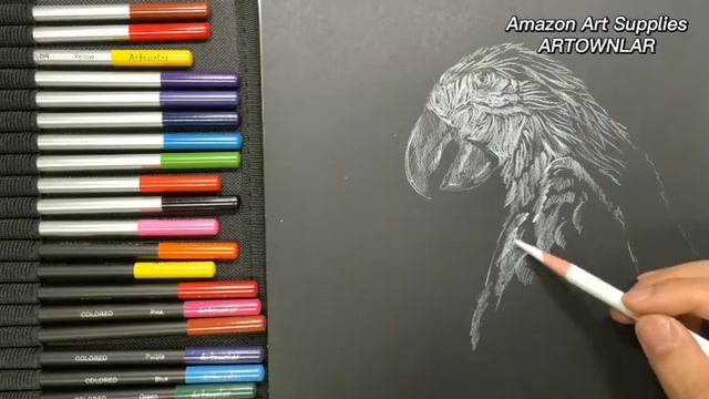 How to draw a parrot by Artownlar sketching and drawing pencil art supply set смотреть онлайн