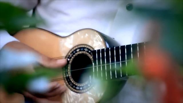 Bonanza - Clavelito (Cueca) смотреть онлайн