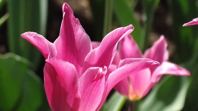 RUSSIA2014 Hernandez Family