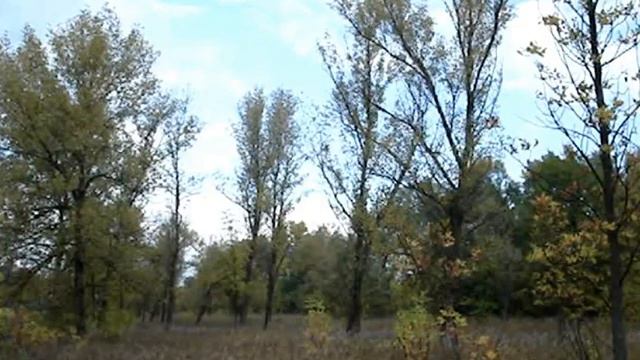 Тебя я жажду смотреть онлайн