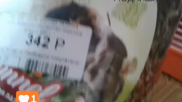 ДЕЛАЕМ СЮРПРИЗ ШИНШИЛЛЕ///Идём в зоомагазин. смотреть онлайн