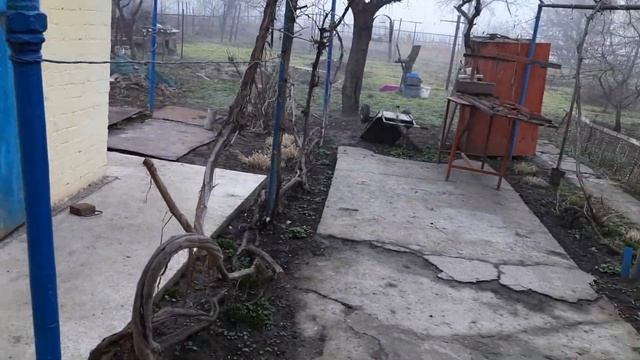 Молодость навсегда?/Мама тоже хочет,молодым дорога! смотреть онлайн