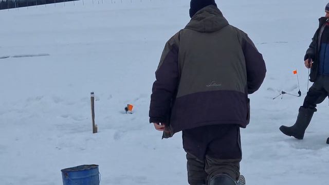 29 февраля 2024 г. смотреть онлайн