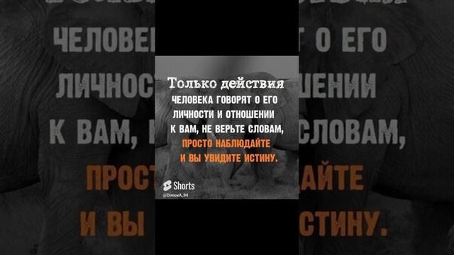 Только Действия……