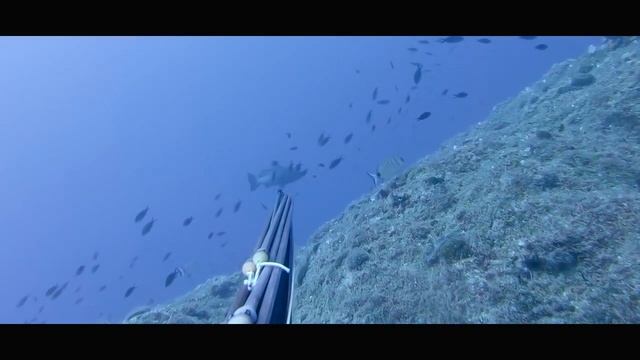 Speargun Omer Invictus HF смотреть онлайн