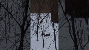 мартовский парк