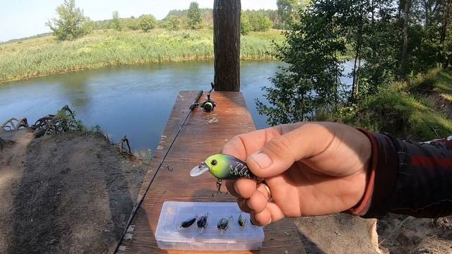 Обзор посылки с кренками ТцуЙоки из Rybalkashop.ru