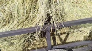 самодельный прицеп в деле для перевозки сена ,два рулона