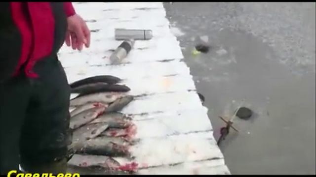 Зимняя рыбалка в Савельево-1 смотреть онлайн