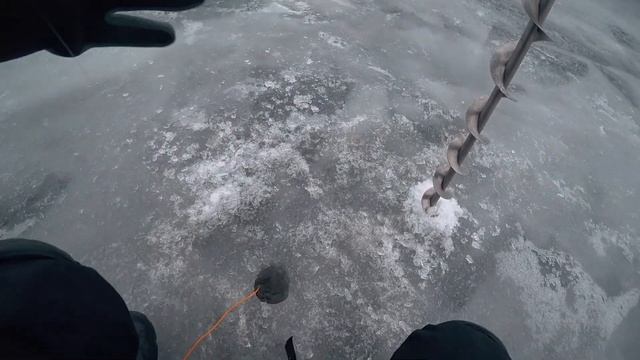 ЭХОЛОТ ПРАКТИК 6 PLUS В БОЮ│ ПОЛЕВЫЕ ИСПЫТАНИЯ НОВИНКИ 2020│Окунь в шоке. смотреть онлайн