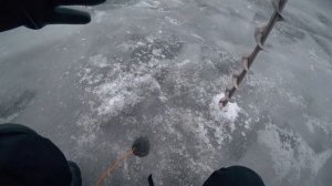 ЭХОЛОТ ПРАКТИК 6 PLUS В БОЮ│ ПОЛЕВЫЕ ИСПЫТАНИЯ НОВИНКИ 2020│Окунь в шоке.