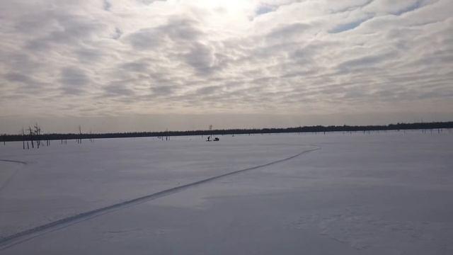 Мотобуксировщик зимой, покатушки по болоту. смотреть онлайн