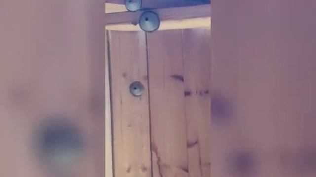 Проверил осиные гнезда смотреть онлайн