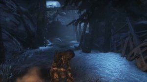 Rise of the Tomb Raider  как  убить медведя на раз,два,три