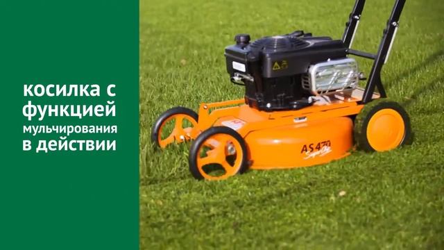 Что такое мульчирование газона смотреть онлайн