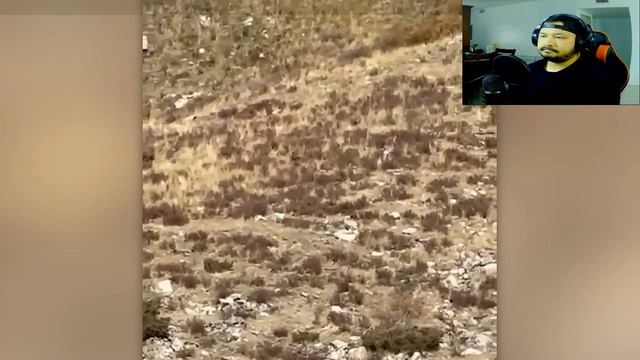 SCARY VIDEO REACTIONS PART 8!! смотреть онлайн