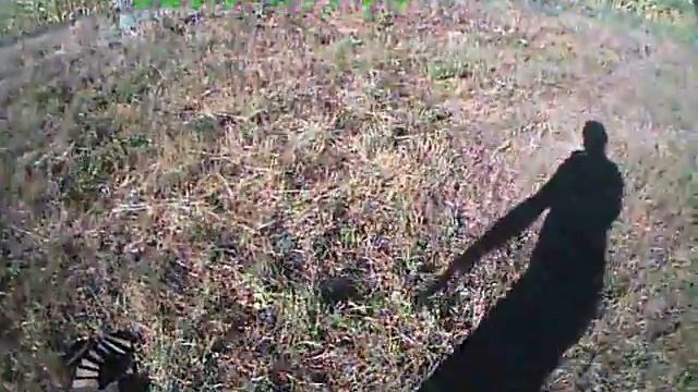 Моя пасека (синяк) смотреть онлайн