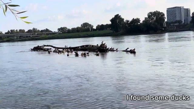River Beaches, Old Town & Pierogi | 24 hours in Warsaw, Poland смотреть онлайн