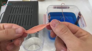 Гальваника медью своими руками. Что понадобится и с чего начать. Мастер-класс.