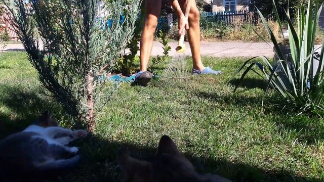 Как сделать газонокосилку. Видео обзор! How to make a lawn mower! смотреть онлайн