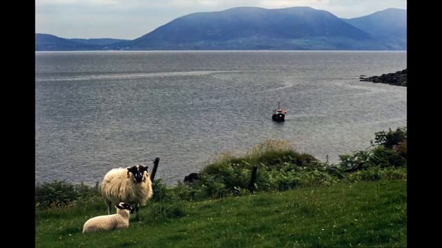 Wild Mountain Thyme смотреть онлайн
