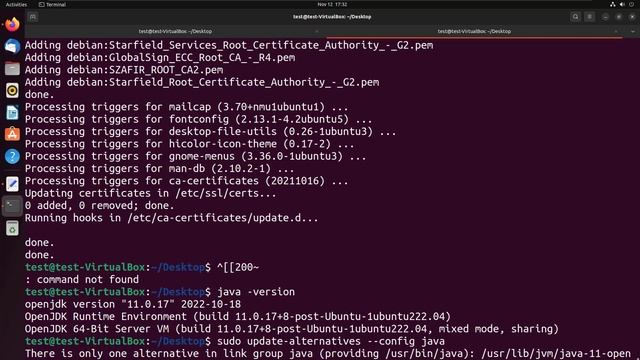 Installing java in ubuntu 22.02 LTS & setup JAVA_HOME #ubuntu #virtualbox #java_developer смотреть онлайн