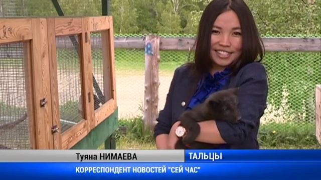 Соболь мутант в мини зоопарке смотреть онлайн