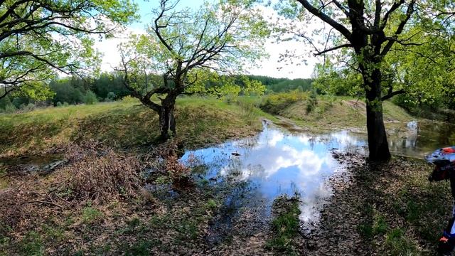 Тонем в грязи с Honda,ZID,Lifan на Enduro CROSS REGULMOTO ATHLETE.