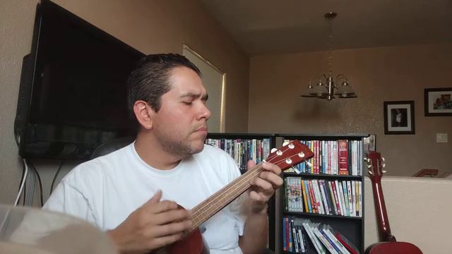 Angel Olsen - Fly On Your Wall (ukulele cover) смотреть онлайн