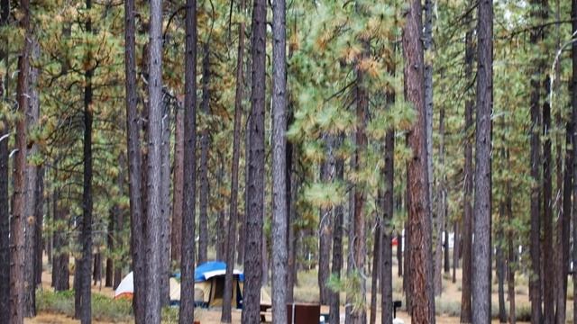 Пикник Слета Друзей на Тахо - 2012 год !