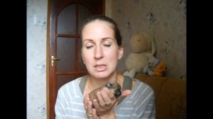 Роды шпица (Дневник: «Момент родов»)