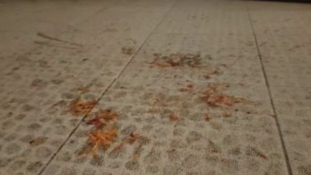 Сырный стих 2022 смотреть онлайн