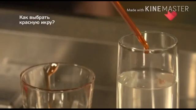 MAGMOLECULARMEAL. ФРУКТОВАЯ ИГРА C MOLECULARMEAL. KINE MASTER. КАК ВЫБРАТЬ КРАСНУЮ ИКРУ?
