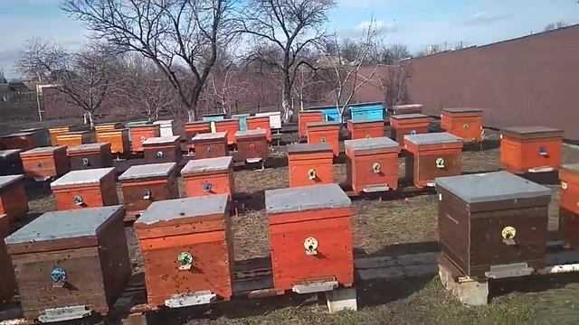 Первый облёт! смотреть онлайн