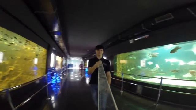 Прогулка по океанариуму смотреть онлайн