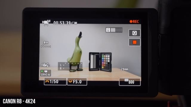 Canon R7 vs R8 - Which Is Better For Video? смотреть онлайн