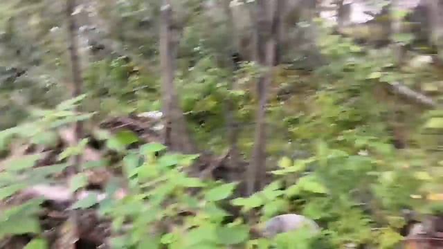 НАШЁЛ МЕДНУЮ МЕГА ЖИЛУ!!!!!! смотреть онлайн