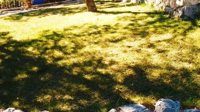 Курортный отель "Вилла Эдем" смотреть онлайн