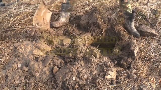 Большой клад царских монет! У камрада чуйка! смотреть онлайн