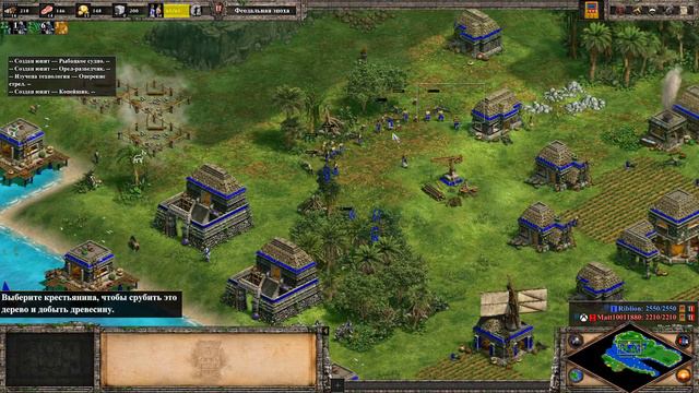 С виду лёгкая игра чуть не обернулась поражением ( AoE 2 DE) смотреть онлайн