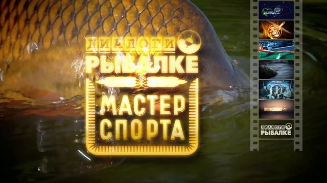 5 СПОСОБОВ ПРАВИЛЬНО ЗАМЕШАТЬ ПРИКОРМКУ  ЛОВЛЯ КАРАСЯ Серия 1