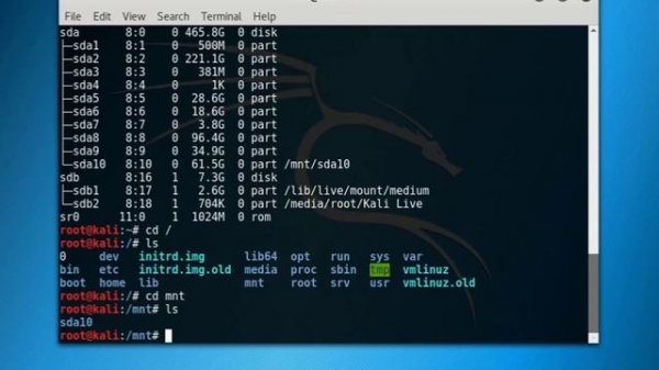 How to Mount and Unmount Linux Partitions Using Live USB or Live CD/DVD