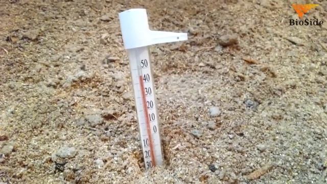 Ферментационная подстилка BioSide у птицевода на Сахалине смотреть онлайн