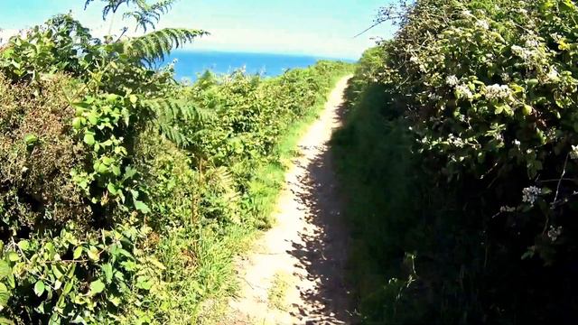 ARDMORE CLIFF WALK /Великолепие Утесов. ИРЛАНДИЯ смотреть онлайн