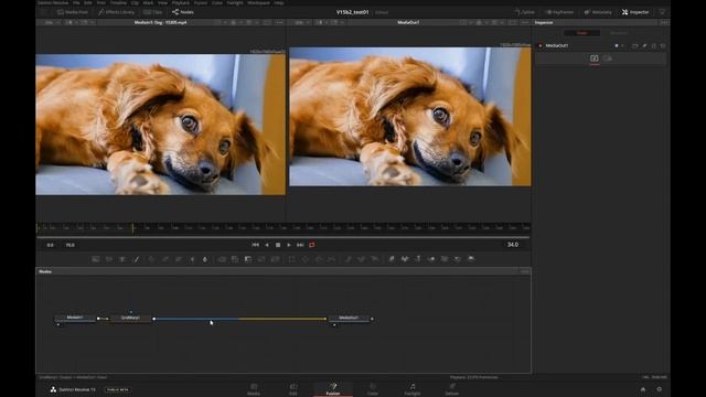 DaVinci Resolve Warp