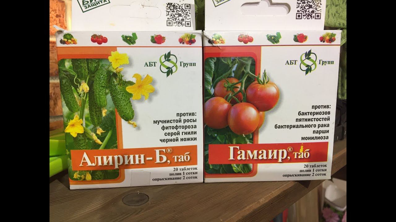 Как применять Алирин и Гамаир. Дневник Дачника Марины Рыкалиной. 07.03.18г.