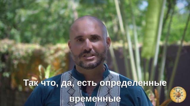 10 самых частых вопросов о предсказаниях на пальмовых листьях смотреть онлайн
