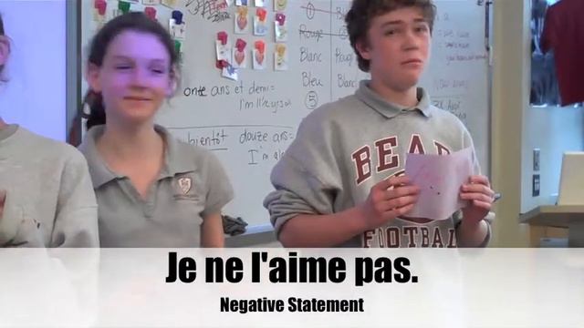 French Positive Negative Questions & Statements II смотреть онлайн
