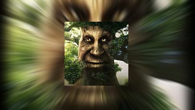 Wise mystical tree 30 minutes soundtrack skyrim смотреть онлайн