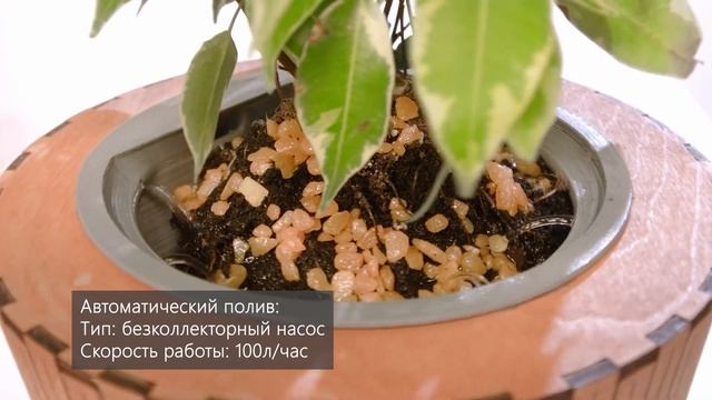 SmartPot - умный горшок смотреть онлайн